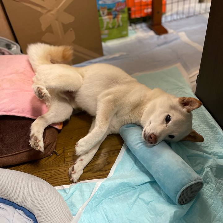 Cb53401f 07b4 4e34 bfeb 9e40166e4782 1647254486735