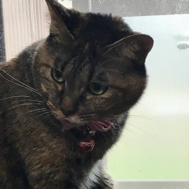 Cb536350 757c 4aa1 9af7 83e6f4b966e2 1508457254463