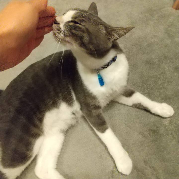 Cb539873 d573 4743 8ea7 b5a01ad11df0 1596371973438