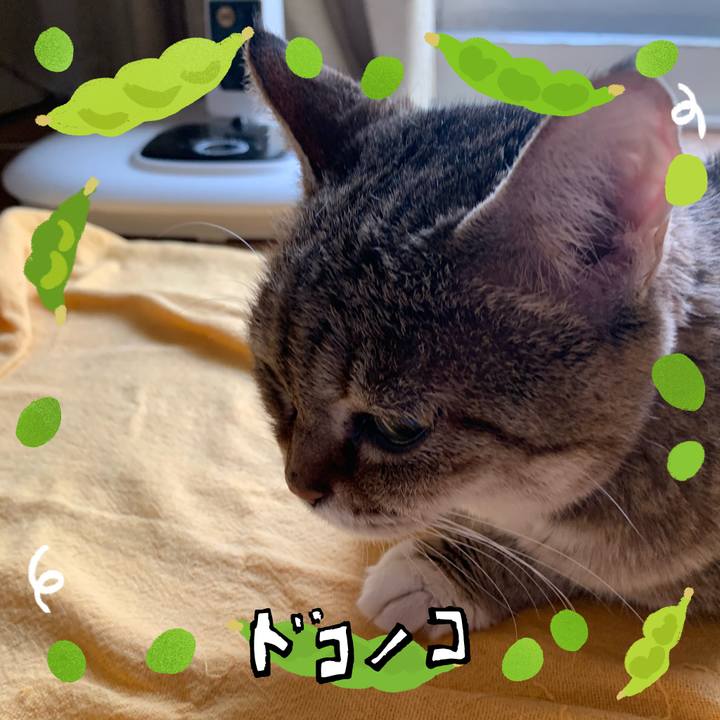 Cb53a2fb 0494 4158 aae6 b73a6abffb72 1721172772628