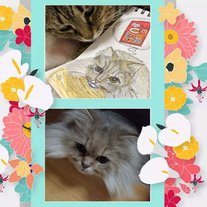 Cb53fb05 44a4 4fdc 9295 9f79b5545e5b 1614514538487