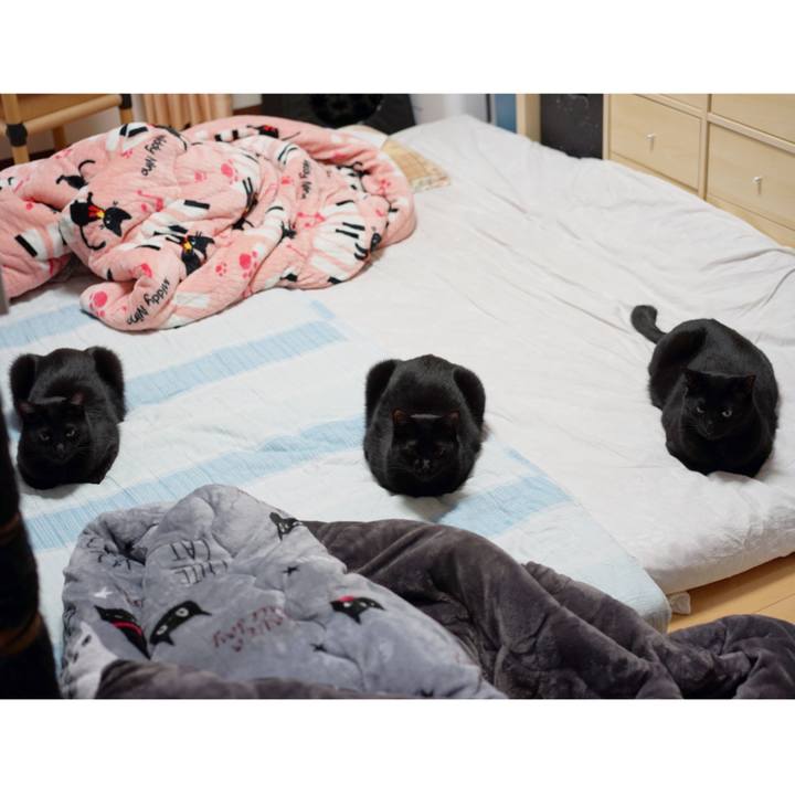 Cb541e52 f1c2 4ec3 980a c1b685866d12 1557408657841