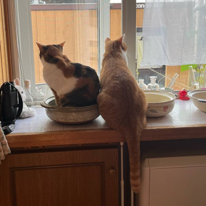 Cb545c06 0fb5 4ef7 82e0 b4383e312a03 1689973830587