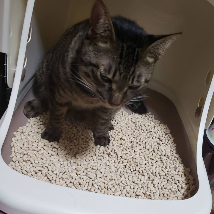 Cb54ab36 5505 4fb9 abf7 92dfa949e574 1564311117053