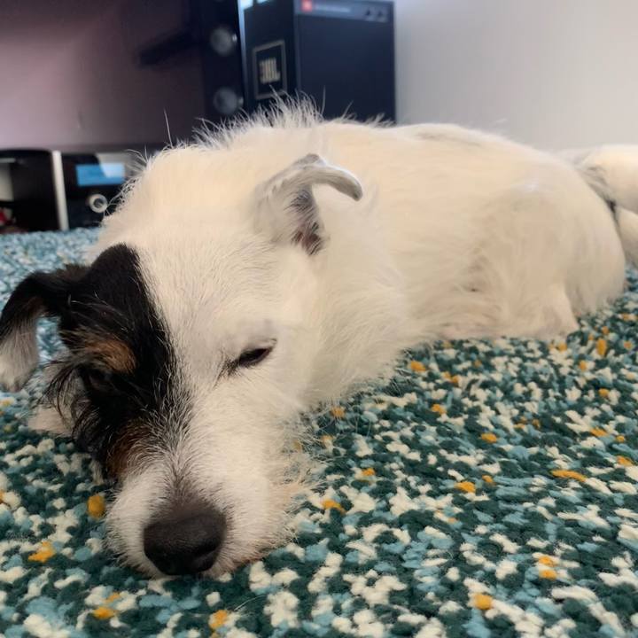 Cb54b5ab 80d5 4e94 9362 4bbfbb1b611d 1689476516588