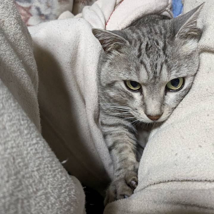 Cb54d9cb 0a85 4ed8 837c 7ed38d51365d 1696941381246