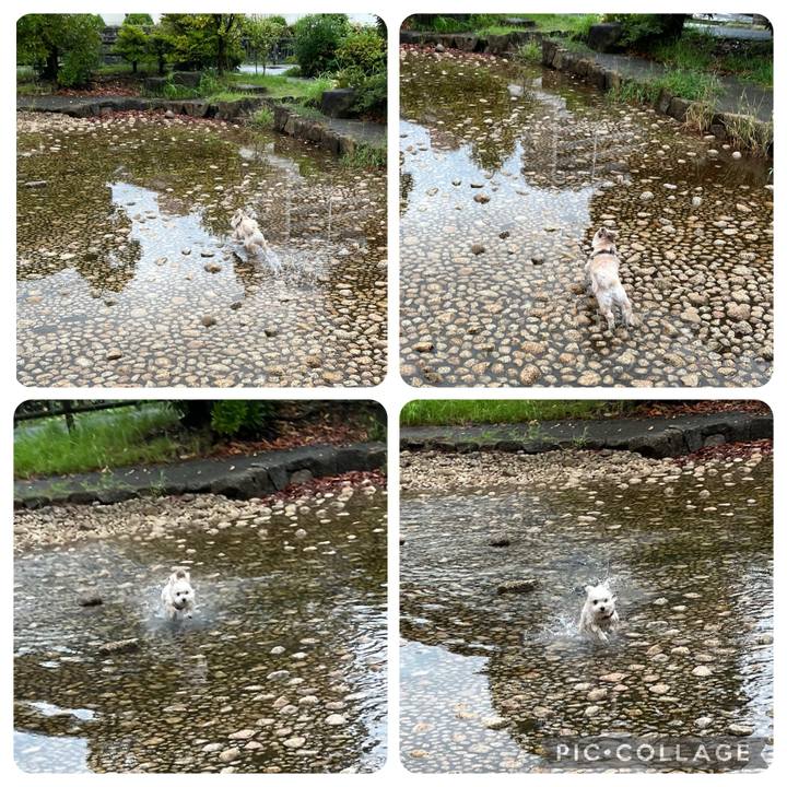 Cb54fcfc ff83 49e9 bb1a 84c4289c7a8e 1757063487015