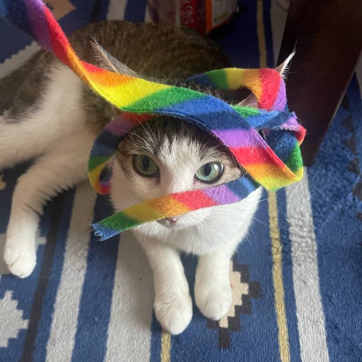 Cb55234f ca0c 45ea a46e f8fc875c6e06 1627030716438