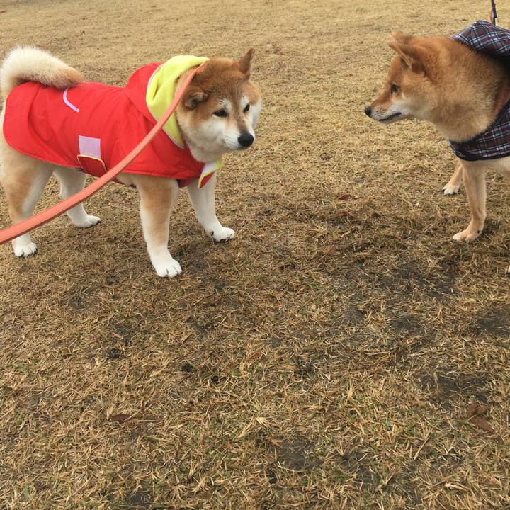 Cb556943 5ebe 41ec 9f6b 6eacc487c9fb 1574490327201