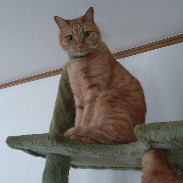 Cb556bd2 a6e9 4f27 ae40 0fc0bfa2bc3b 1743222534057