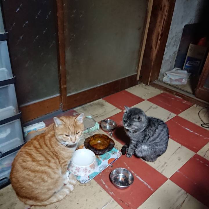 Cb55c625 f8f7 4978 a107 010962e30500 1576784770546