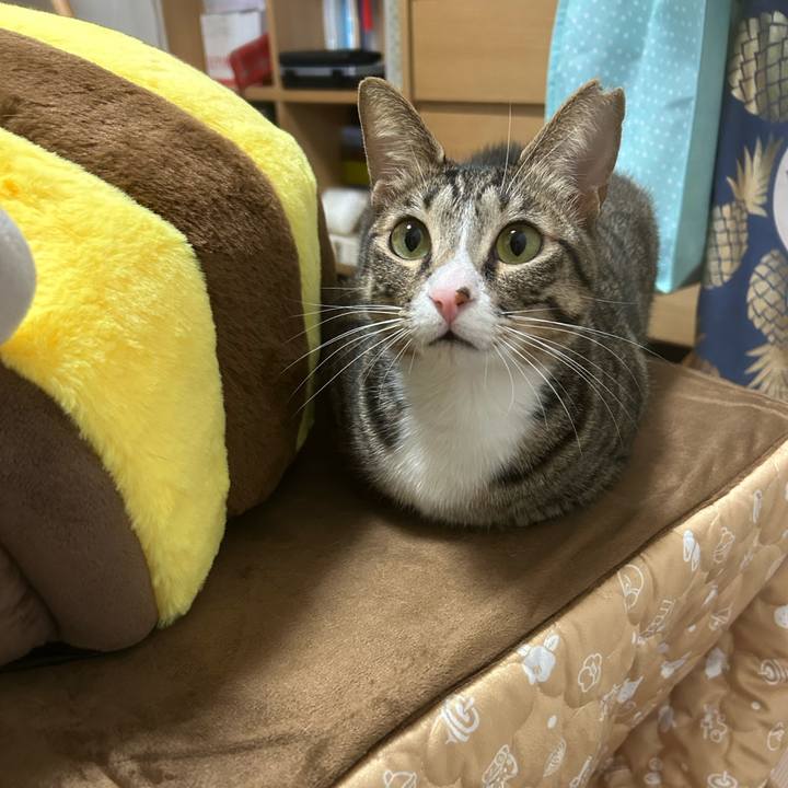 Cb55f7a0 cd14 4081 a6d7 9b73662d50c8 1772631899809