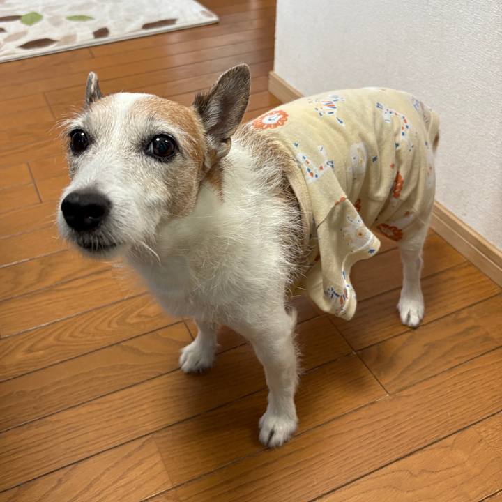 Cb56076e 236b 40c0 896e e8dc60a81546 1756077941585