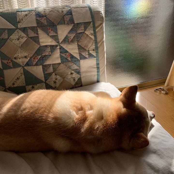 Cb5616f4 00c5 4256 ae35 14dd6d11a379 1642475475550