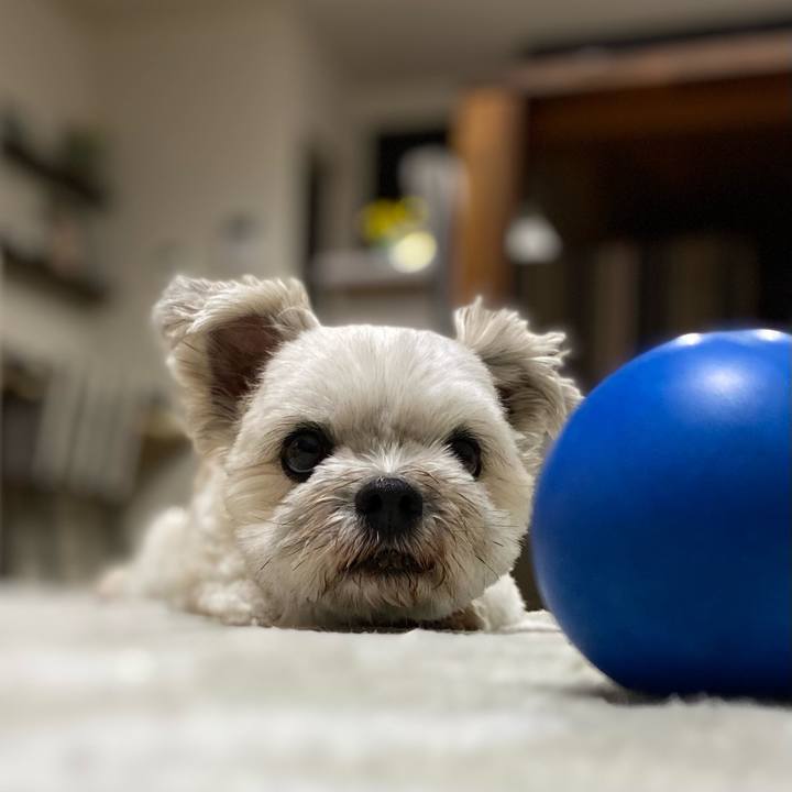 Cb562900 8632 4b85 b8d2 c257018802de 1697285290146