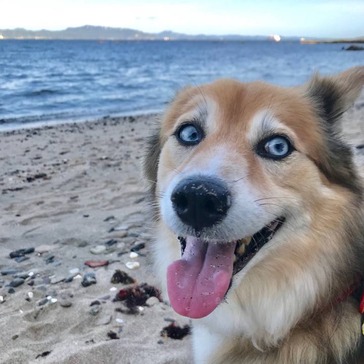 Cb5641db e62c 4e1f 85b5 ce525c0e3500 1562749148299