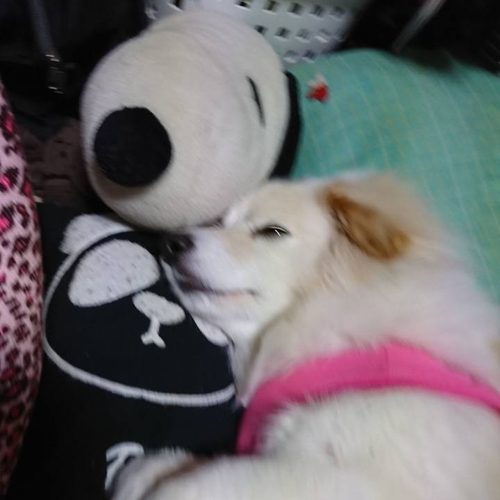 Cb5650ac 7afd 4188 a9b8 243f19d67fed 1522929594943