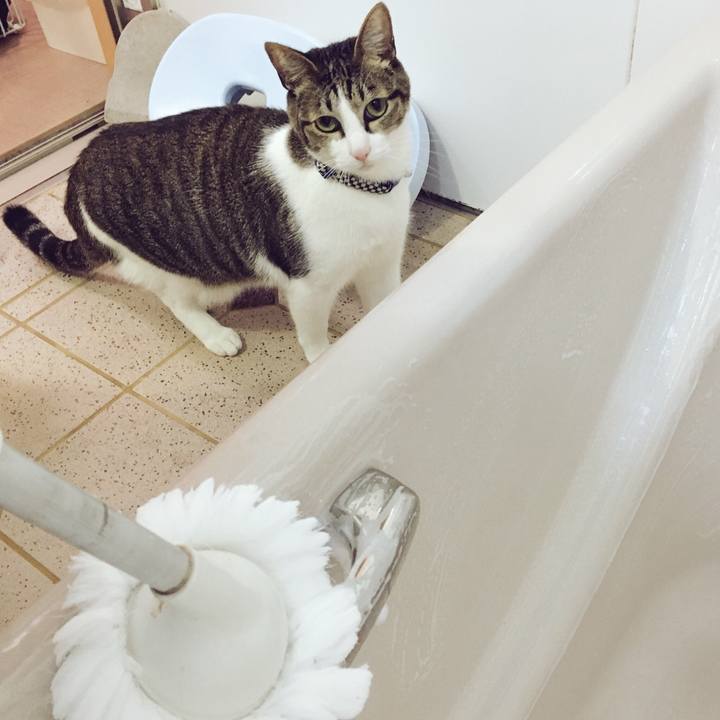 Cb569f02 26eb 436a 8a0e 61a6126153b3 1542703799537