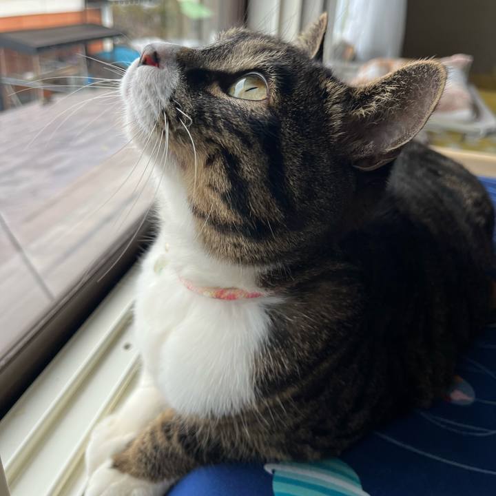 Cb56c5f0 2d53 4ef8 a7ff 904ce3d5761e 1771631054278