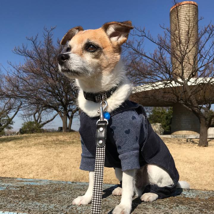 Cb56d5d8 11ec 4bb0 b163 8f90ea68ae42 1581574212250