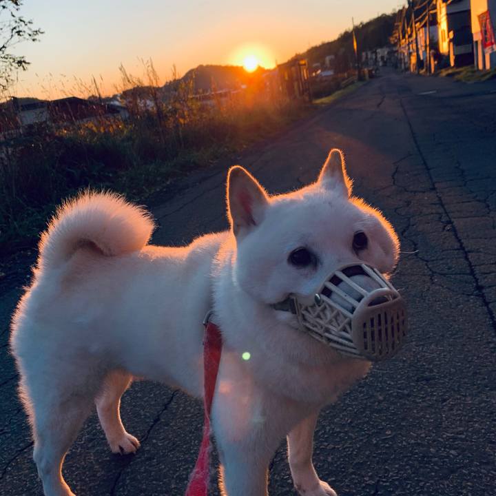 Cb56eaab c7c6 40fd b7ac 69ae5c8de62c 1603234638595