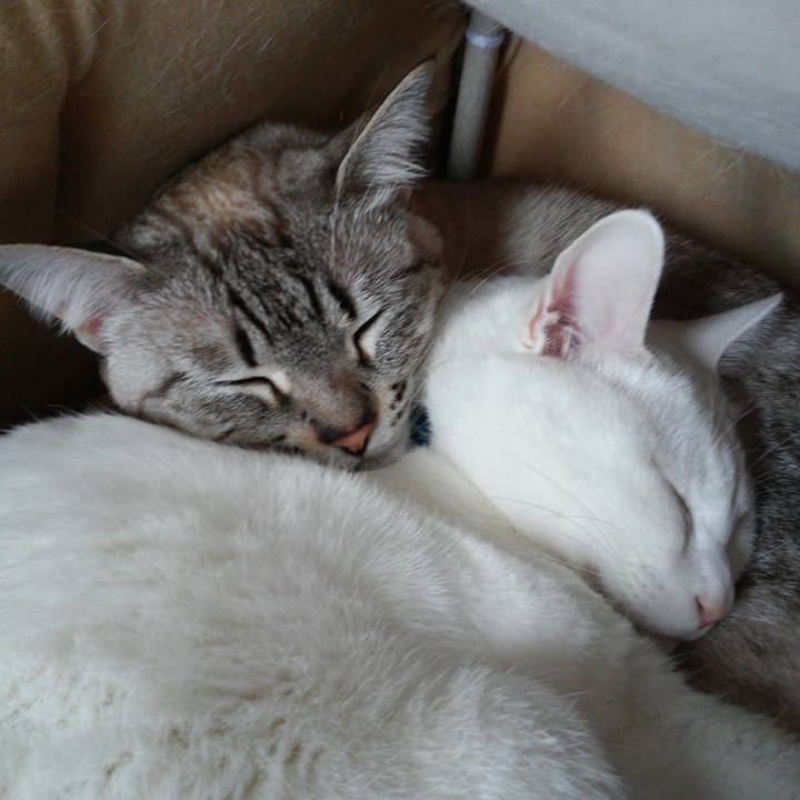 Cb5726ad c9e0 4d6a ada6 eeede4440591 1517726316375