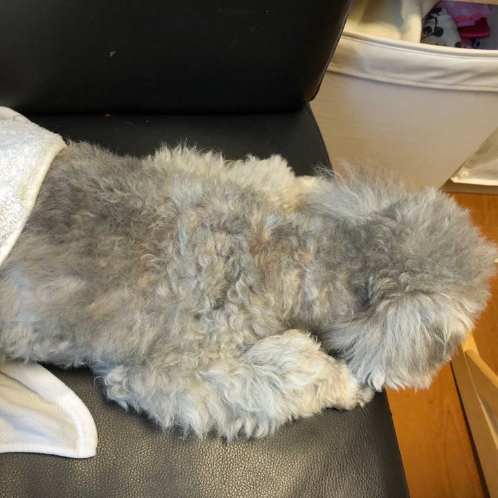 Cb574275 07a6 40f8 8ca5 6e3438e9ee01 1555155474577