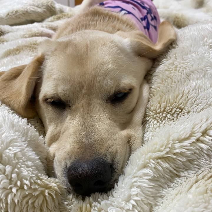 Cb575e2f 9930 4a5f 9f43 a81f5bc8153d 1616336332588