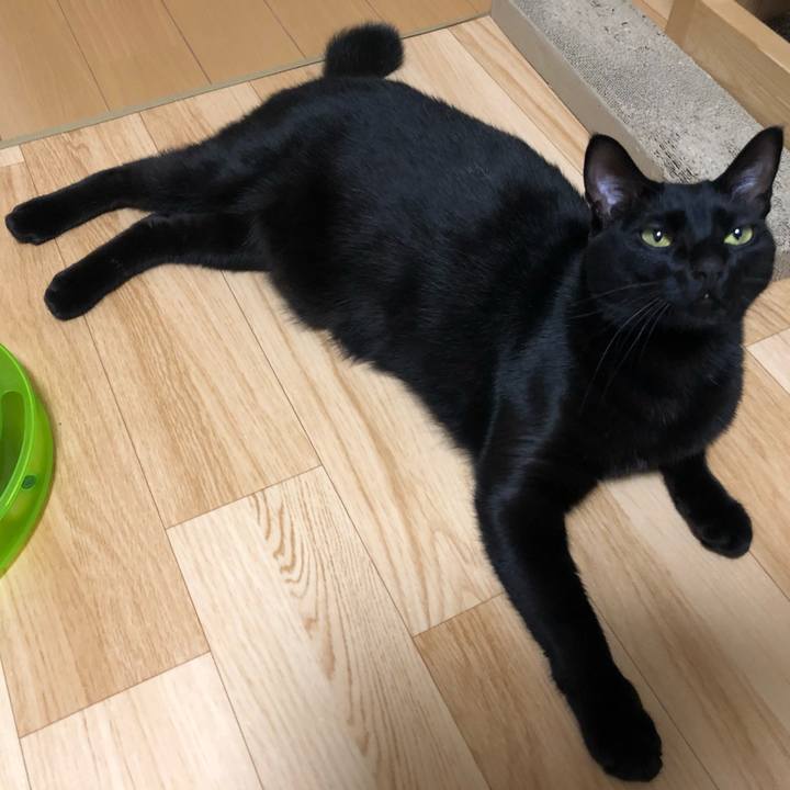 Cb57832b 6566 4c76 8bc5 fea421e71950 1551359672205