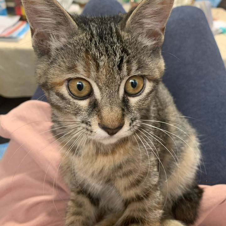 Cb57e56c 1461 470e 9f70 1e0bfc904021 1593941052538