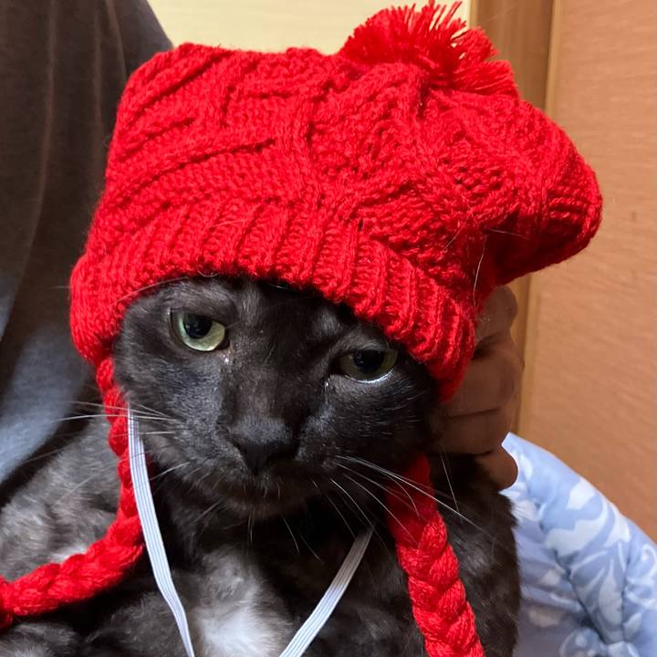 Cb57fc4e a3f4 4ab3 b80e 87fd495910a9 1742893990986