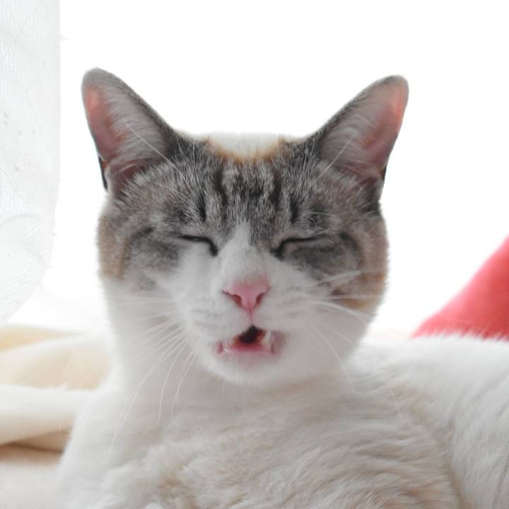 Cb581482 ff5c 4881 85ae b3653d4f5591 1524305856995