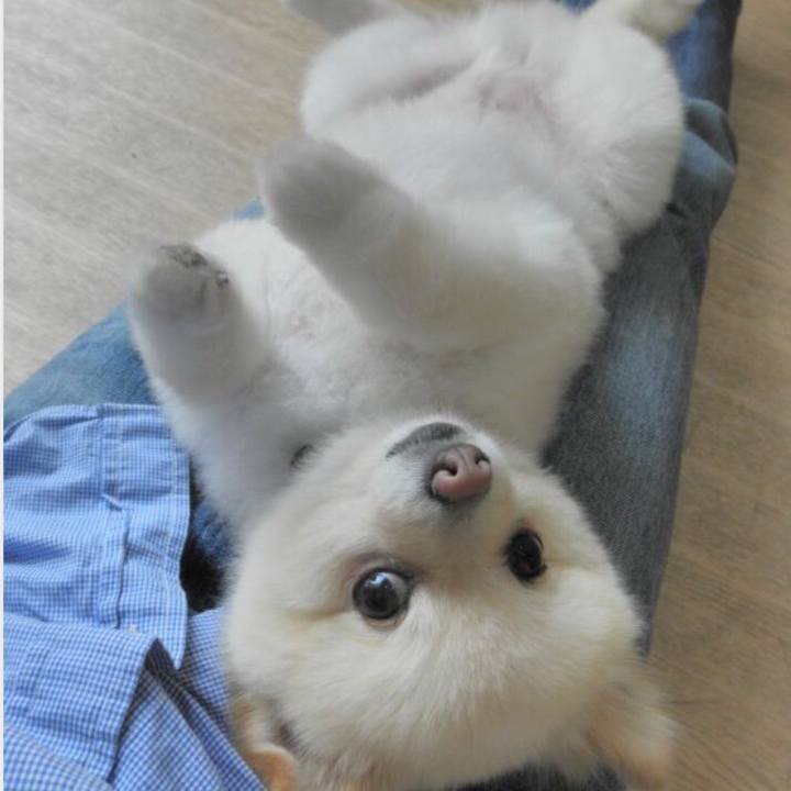 Cb58564c 7cd9 4383 a164 e188be2cfe3c 1562405152505