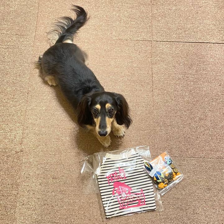 Cb585d68 2a71 4511 ae15 091abf9d942f 1759311894879