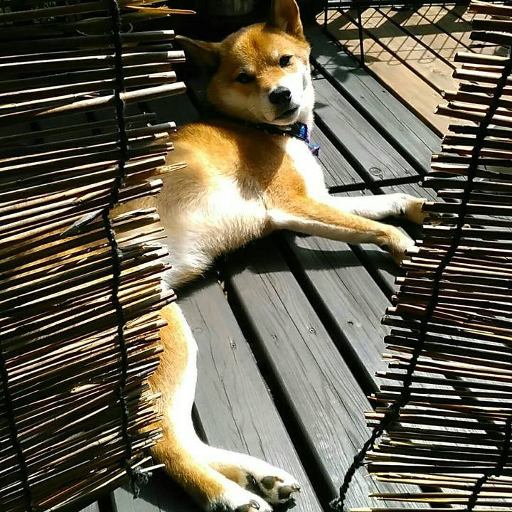 Cb585f40 a9ad 46f9 8c7a 1cc087e9fc82 1535604032688