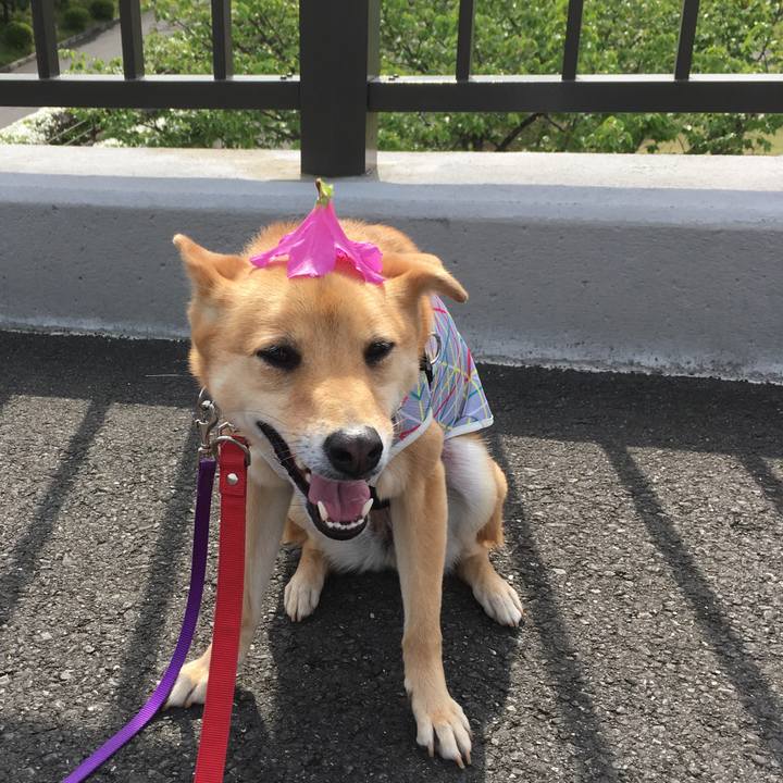 Cb588ca4 b6cf 4be2 8a21 f2e36c173bd2 1556867704607