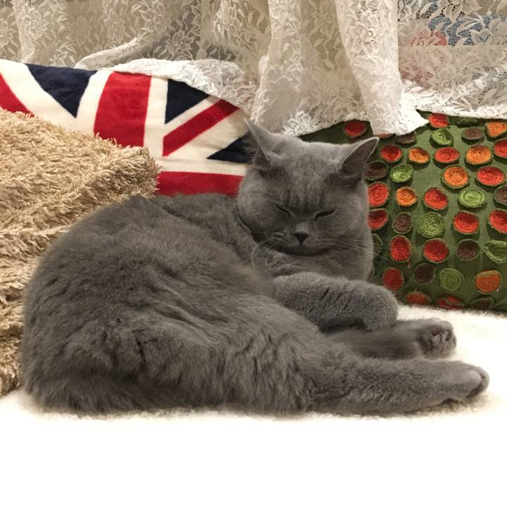 Cb58a121 2b8d 4c7b be04 437033b4b79f 1509841647777