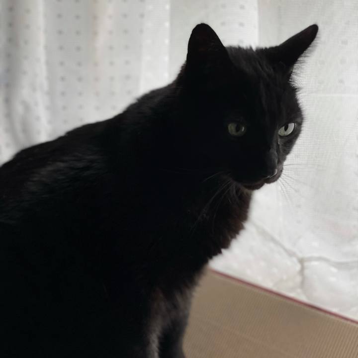 Cb58adeb 9716 46aa 881e c18d3dc859c4 1620353445997