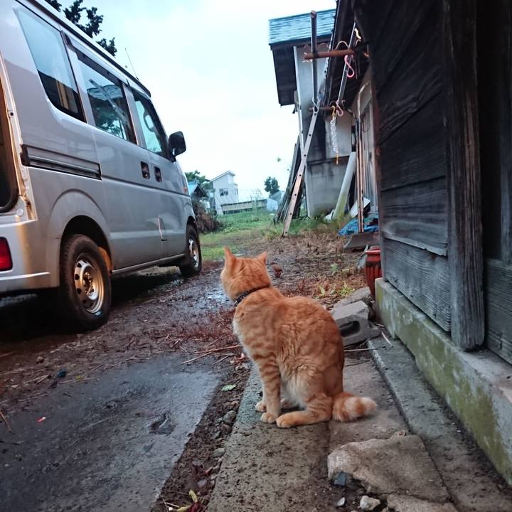 Cb58c11b b6d3 42f7 b8d3 af2b319ba77a 1658226371913