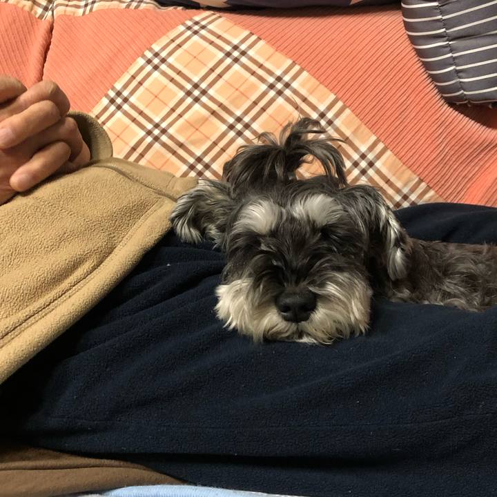 Cb58c9f3 c3dd 40e4 8008 f10b422f0483 1702649394284