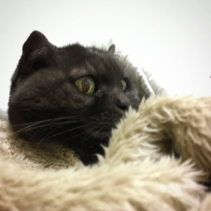 Cb58cf7e 622c 4a4e 8edb abf65c0116b5 1574693272245