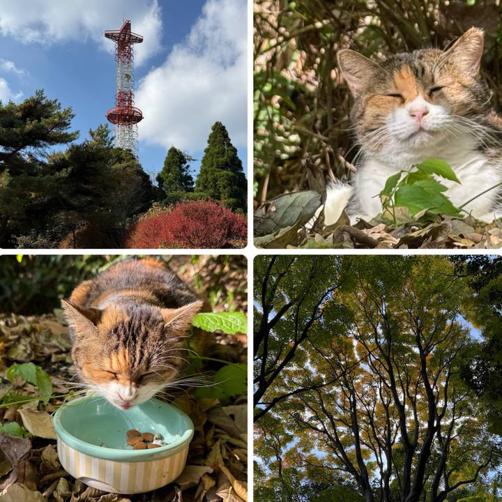 Cb58d92e 8944 432d 9471 3524147d4ec2 1763197036319