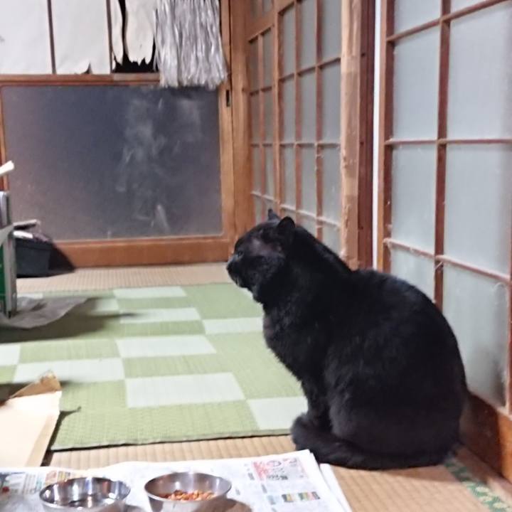 Cb58e69c b373 4acc 8088 ffd9882a1a73 1615283291931