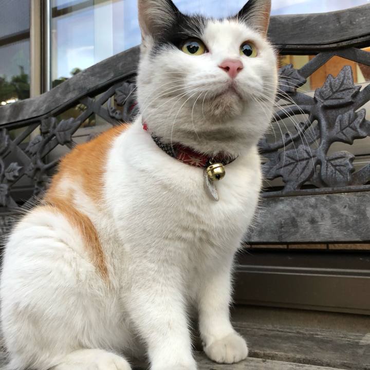 Cb58ea22 0bfa 4e5f 9dc6 d53ff263bfd9 1610749862547