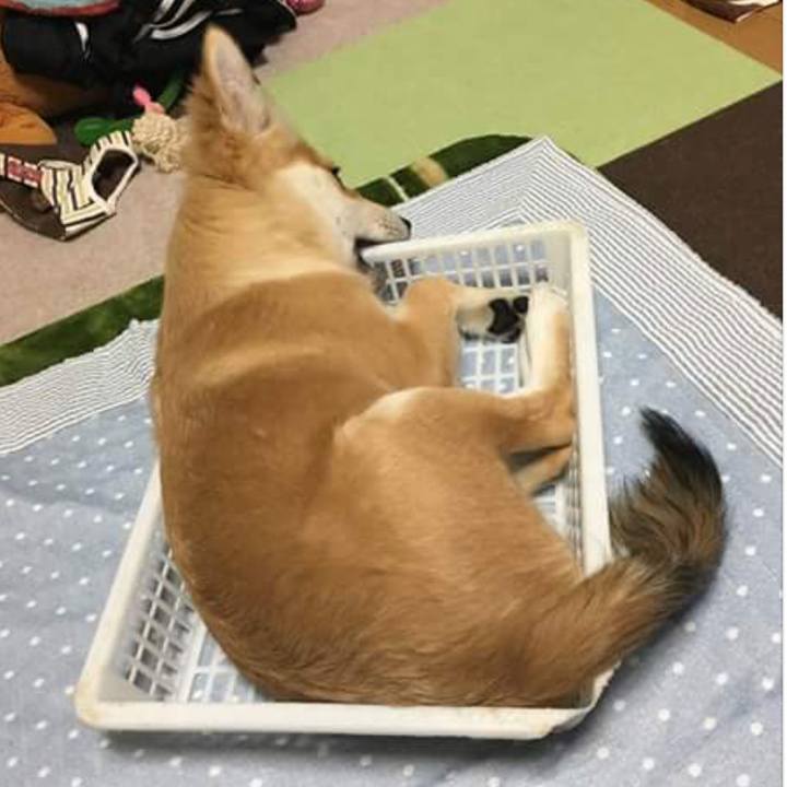 Cb58f290 a412 4b0e b7ce 628a73bf8eaa 1531701321948