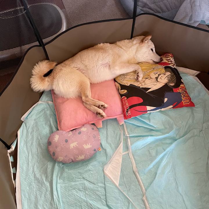 Cb58f502 547b 41cf a484 ce094bc9fe21 1655957030122