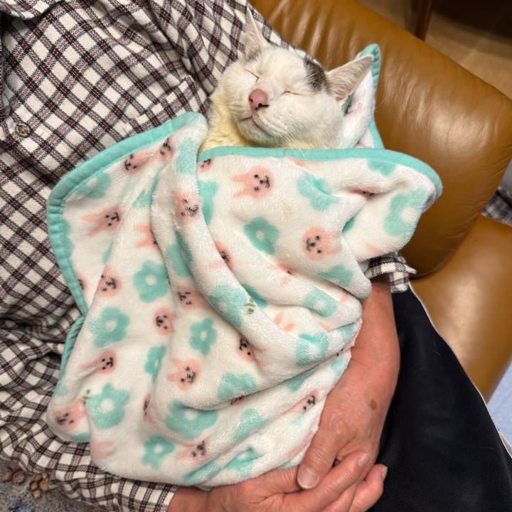 Cb58f765 fd08 4c5f 9474 aedaf4a79464 1764591357437