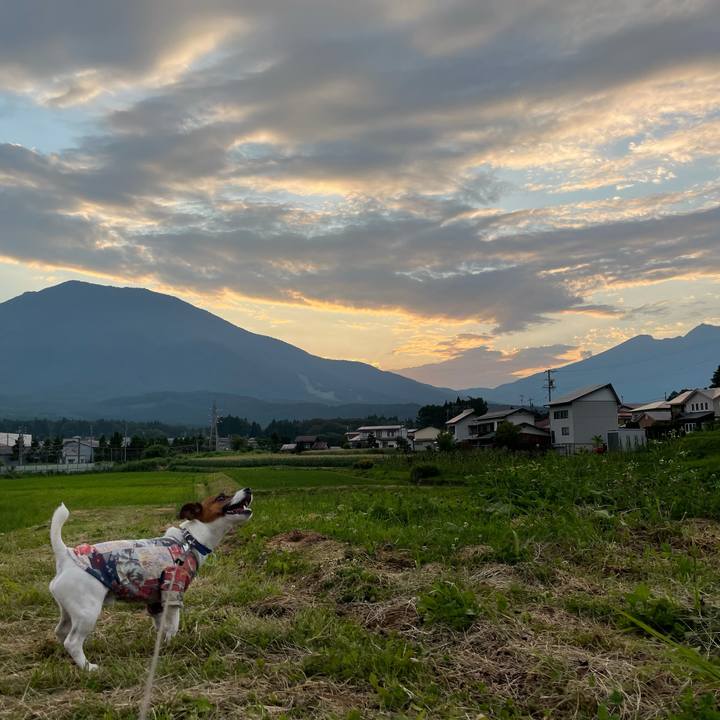 Cb5976fc 3080 41da a068 6780c7d9b980 1626780684580