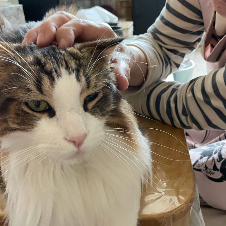 Cb597aa5 b1f2 41a8 8a8a 413007e7f721 1666503392903