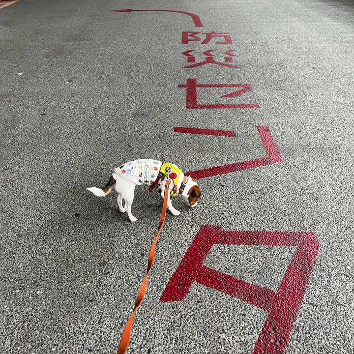 Cb598556 e639 445f 9a85 0285da94920b 1727864112744